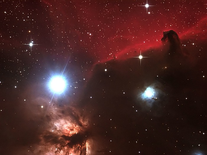 Horsehead Pro1 filtered web