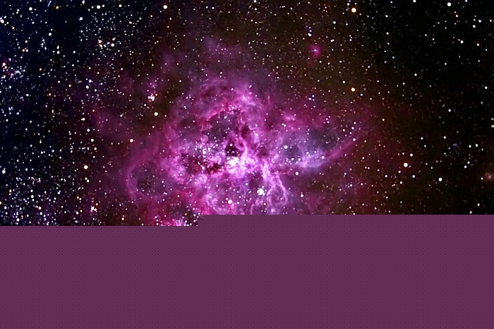 TarantulaPro3 1200 filtered