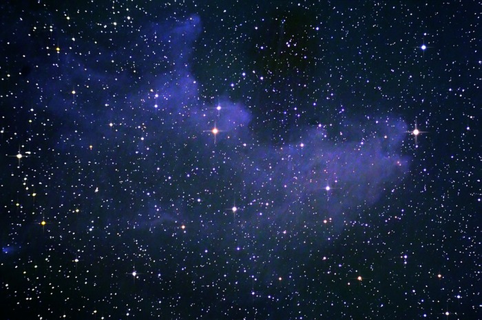 WitchHead Pro1 filtered 800x533 web